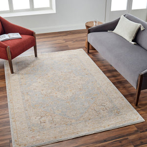 Livabliss Avant Garde Traditional Fringe Area Rug Polyester Woven Formal Living Room Accent Taupe, Medium G 2' x 2'11" AVT2365-23