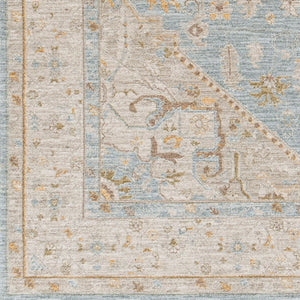 Livabliss Avant Garde Traditional Fringe Area Rug Polyester Woven Formal Living Room Accent Taupe, Medium G 2'7" x 7'3" AVT2365-2773