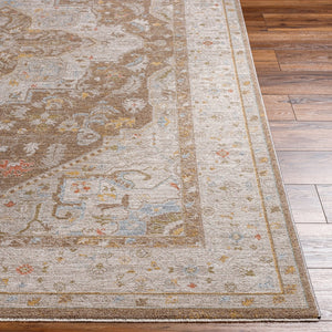 Livabliss Avant Garde Traditional Area Rug with Fringe Turkish Woven Polyester Living Room Anchor Dark Brown, Tau 12' x 15' AVT2366-1215