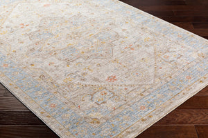 Livabliss Avant Garde Traditional Fringe Area Rug Turkish Woven Polyester for Large Living Rooms Taupe, Dark Bro 6'7" x 9'6" AVT2367-6796