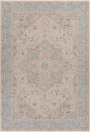 Livabliss Avant Garde Traditional Fringe Area Rug Turkish Woven Polyester for Large Living Rooms Taupe, Dark Bro 6'7" x 9'6" AVT2367-6796