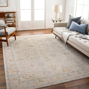 Livabliss Avant Garde Traditional Polyester Area Rug with Fringe Detail for Large Living Spaces Taupe, Medium G 10' x 13'11" AVT2368-1014