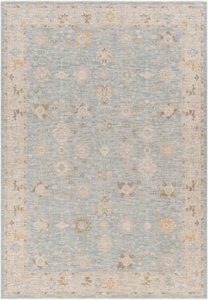 Livabliss Avant Garde Polyester Area Rug with Fringe Formal Traditional Pattern for Large Rooms Taupe, Medium G 6'7" x 9'6" AVT2369-6796