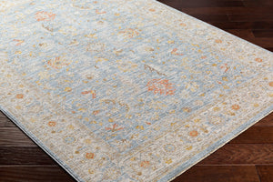 Livabliss Avant Garde Traditional Polyester Area Rug with Fringe Border for Large Living Spaces Taupe, Medium G 6'7" x 9'6" AVT2371-6796