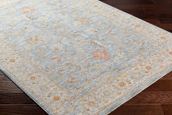 Livabliss Avant Garde Traditional Polyester Area Rug with Fringe Border for Large Living Spaces Taupe, Medium G 6'7" x 9'6" AVT2371-6796