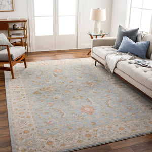 Livabliss Avant Garde Traditional Polyester Area Rug with Fringe Border for Large Living Spaces Taupe, Medium G 6'7" x 9'6" AVT2371-6796