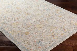 Livabliss Avant Garde Traditional Polyester Area Rug with Fringe Border for Large Living Rooms Taupe, Medium G 2'7" x 7'3" AVT2377-2773