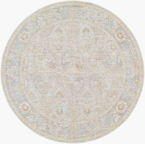 Livabliss Avant Garde Traditional Polyester Area Rug for Living Room and Dining Space Charcoal, Light 6'7" x 6'7" AVT2378-67RD