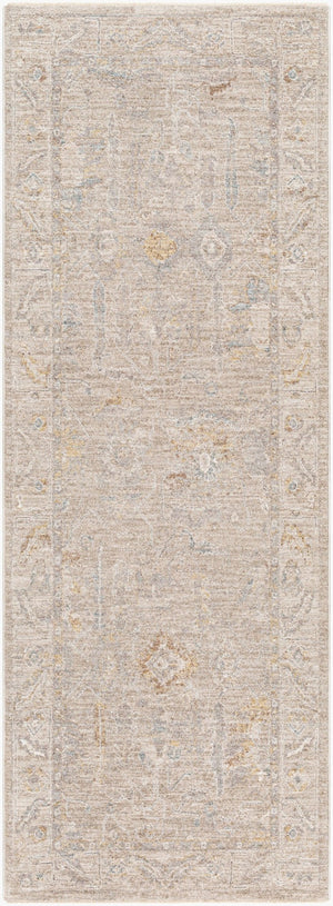 Livabliss Avant Garde Turkish Polyester Area Rug Traditional Pattern for Entryway or Bedroom Charcoal, Light 2'7" x 7'3" AVT2379-2773