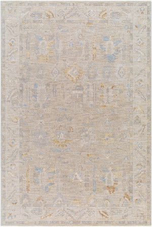 Livabliss Avant Garde Turkish Polyester Area Rug Traditional Pattern for Entryway or Bedroom Charcoal, Light 2'7" x 3'11" AVT2379-274