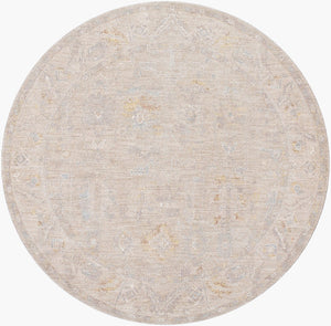 Livabliss Avant Garde Turkish Polyester Area Rug Traditional Pattern for Entryway or Bedroom Charcoal, Light 6'7" x 6'7" AVT2379-67RD