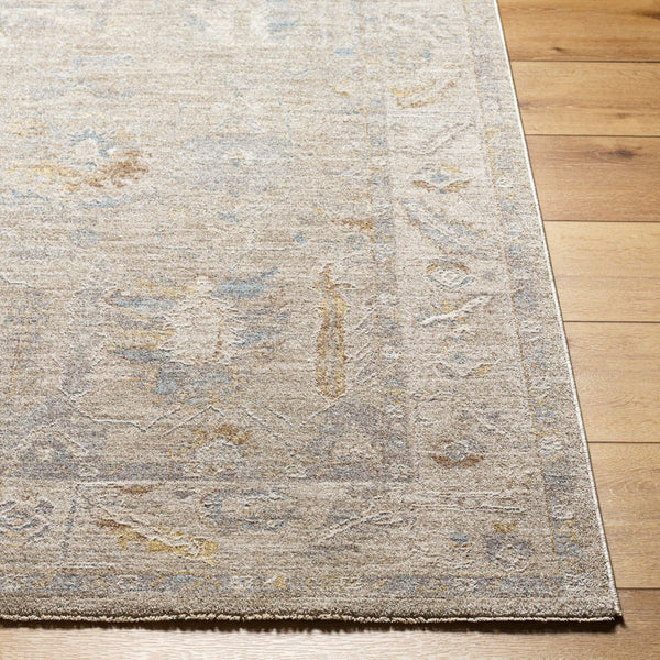 Livabliss Avant Garde Turkish Polyester Area Rug Traditional Pattern for Entryway or Bedroom Charcoal, Light 2'7" x 3'11" AVT2379-274
