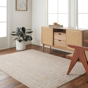 Livabliss Avant Garde Turkish Polyester Area Rug Traditional Pattern for Entryway or Bedroom Charcoal, Light 2'7" x 3'11" AVT2379-274