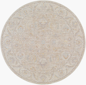 Livabliss Avant Garde Traditional Fringe Area Rug Polyester Woven for Large Living Spaces Charcoal, Light 7'10" x 7'10" AVT2382-710RD