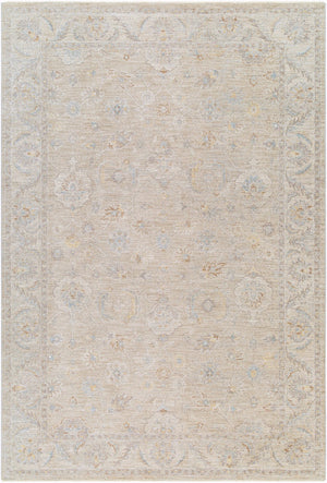 Livabliss Avant Garde Traditional Fringe Area Rug Polyester Woven for Large Living Spaces Charcoal, Light 12' x 15' AVT2382-1215