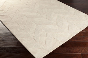 Livabliss Central Park Hand Loomed Wool Accent Rug Minimalist Style for Entryways and Small Spaces Beige 3' x 5' AWHP4028-35