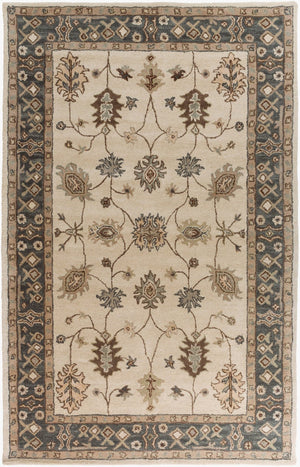 Livabliss Middleton Hand Tufted Wool Area Rug Traditional Motifs for Entryway or Accent Spaces Light Beige, Ch 2' x 3' AWHR2050-23