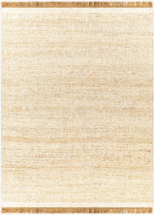 Surya Aylin Handwoven Jute & Wool 2' X 3' Rug – Cozy Farmhouse Charm With No-pile Finish & Fringe Detail Black Jute,Wool Ayi2300-23