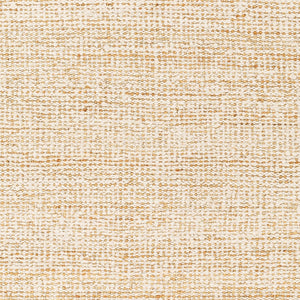 Surya Aylin Handwoven Jute & Wool 2' X 3' Rug – Cozy Farmhouse Charm With No-pile Finish & Fringe Detail Black Jute,Wool Ayi2300-23