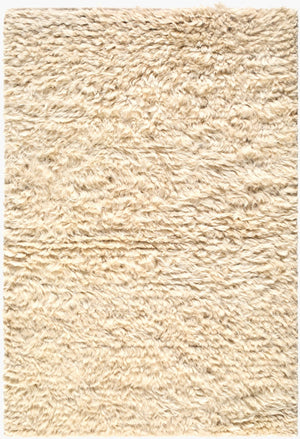 Surya Ayan Hand-hooked Cashmere Wool Area Rug Scandinavian Modern Style for Living Rooms 6" Sample AYM2300-612SAM