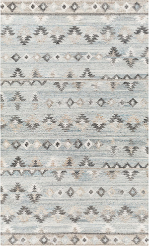 Surya Alyssa 2' X 3' Handmade Flatweave Rug - Rustic Recycled Pet Yarn, Durable, Easy To Clean Decor Piece Pale Blue Recycled Pet Yarn Ays2303-23