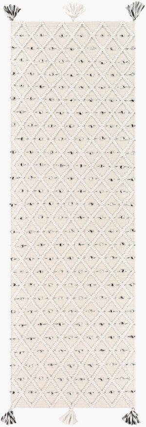 Livabliss Azalea Handwoven Flatweave Area Rug Recycled Pet Fringe Global Artisan Living Room Ivory, Gray 2'6" x 8' AZA2301-268