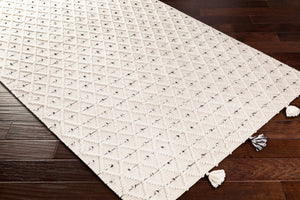 Livabliss Azalea Handwoven Flatweave Area Rug Recycled Pet Fringe Global Artisan Living Room Ivory, Gray 8' x 10' AZA2301-810