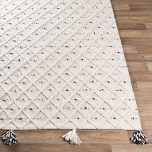Livabliss Azalea Handwoven Flatweave Area Rug Recycled Pet Fringe Global Artisan Living Room Ivory, Gray 8' x 10' AZA2301-810