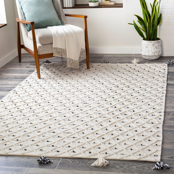 Livabliss Azalea Handwoven Flatweave Area Rug Recycled Pet Fringe Global Artisan Living Room Ivory, Gray 8' x 10' AZA2301-810