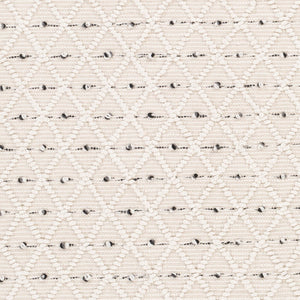 Livabliss Azalea Handwoven Flatweave Area Rug Recycled Pet Fringe Global Artisan Living Room Ivory, Gray 8' x 10' AZA2301-810