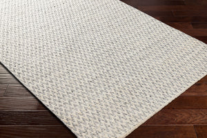 Surya Azalea 2' X 3' Eco-friendly Handmade Rug - Global Style, Unique Texture, And Cozy Home Accent Slate Recycled Pet Yarn Aza2302-1518
