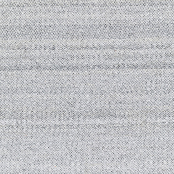 Surya Azalea 2' X 3' Eco-friendly Handmade Rug - Global Style, Unique Texture, And Cozy Home Accent Light Gray Recycled Pet Yarn Aza2308-23