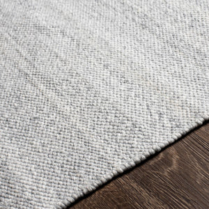Surya Azalea 2' X 3' Eco-friendly Handmade Rug - Global Style, Unique Texture, And Cozy Home Accent Light Gray Recycled Pet Yarn Aza2308-23