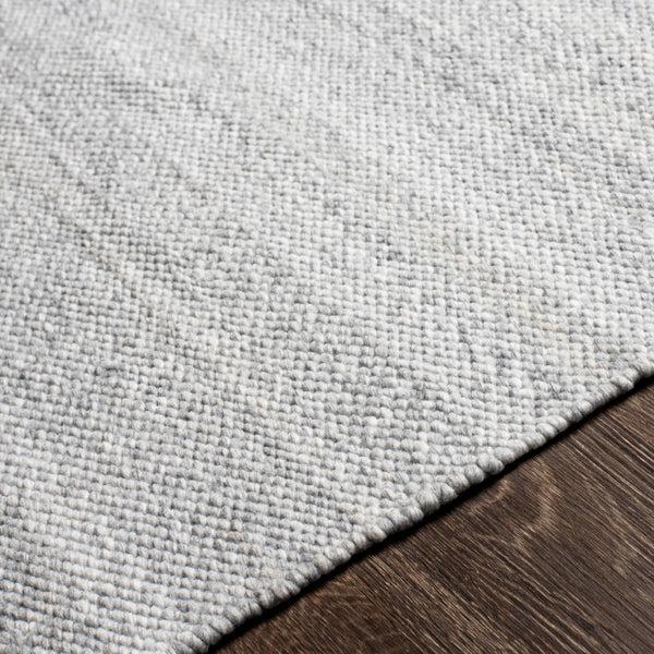 Surya Azalea 2' X 3' Eco-friendly Handmade Rug - Global Style, Unique Texture, And Cozy Home Accent Light Gray Recycled Pet Yarn Aza2308-23