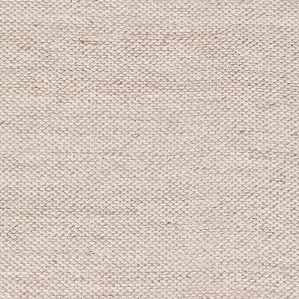 Surya Azalea 2' X 3' Eco-friendly Handmade Rug - Global Style, Unique Texture, And Cozy Home Accent Taupe Recycled Pet Yarn Aza2313-23