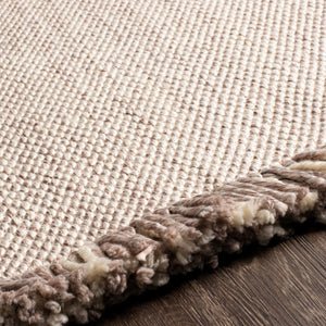Surya Azalea 2' X 3' Eco-friendly Handmade Rug - Global Style, Unique Texture, And Cozy Home Accent Taupe Recycled Pet Yarn Aza2313-268