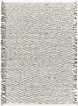 Surya Azalea 2' X 3' Eco-friendly Handmade Rug - Global Style, Unique Texture, And Cozy Home Accent Light Slate Recycled Pet Yarn Aza2314-23