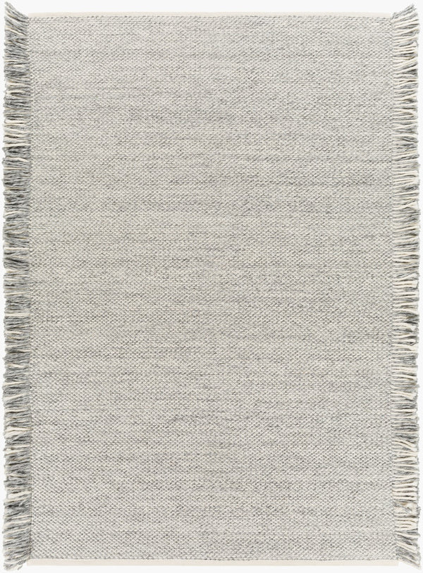 Surya Azalea 2' X 3' Eco-friendly Handmade Rug - Global Style, Unique Texture, And Cozy Home Accent Light Slate Recycled Pet Yarn Aza2314-23