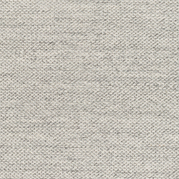 Surya Azalea 2' X 3' Eco-friendly Handmade Rug - Global Style, Unique Texture, And Cozy Home Accent Light Slate Recycled Pet Yarn Aza2314-268