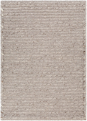 Surya Azalea 2' X 3' Eco-friendly Handmade Rug - Global Style, Unique Texture, And Cozy Home Accent Taupe Recycled Pet Yarn Aza2315-23