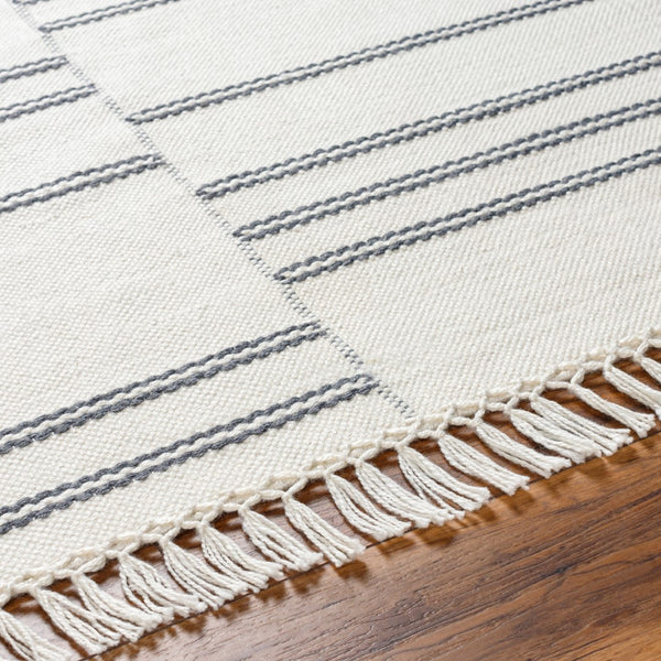 Surya Azalea 2' X 3' Eco-friendly Handmade Rug - Global Style, Unique Texture, And Cozy Home Accent Charcoal Recycled Pet Yarn Aza2332-23