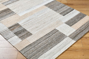 Surya Azalea 2' X 3' Eco-friendly Handmade Rug - Global Style, Unique Texture, And Cozy Home Accent Ivory Recycled Pet Yarn Aza2340-81012