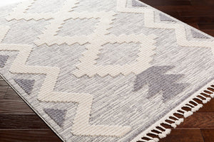 Livabliss Azilal Global Geometric Machine Woven Polyester Rug with High Low Pile Texture Gray, Ivory 2' x 2'11" AZI2302-2211