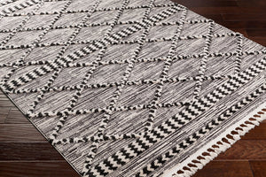 Livabliss Azilal Moroccan High Pile Area Rug with Fringe Polyester Bohemian Living Room Accent AZI2311-5373