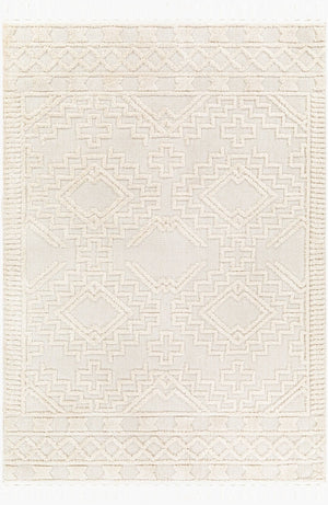 Livabliss Azilal Bohemian Global High Pile Polyester Area Rug with Fringe for Living Room AZI2312-9212