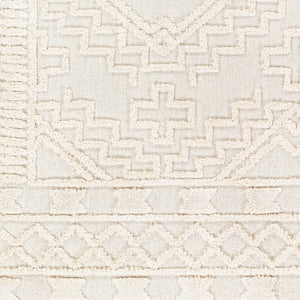 Livabliss Azilal Bohemian Global High Pile Polyester Area Rug with Fringe for Living Room AZI2312-9212