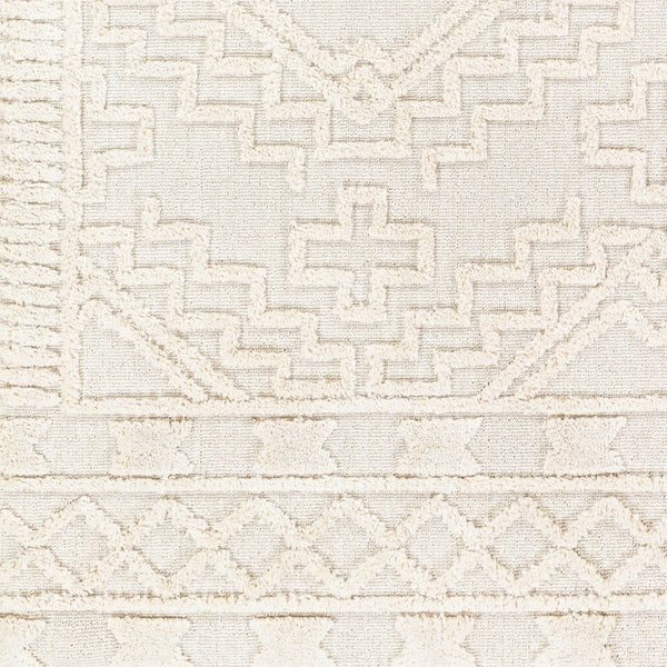 Livabliss Azilal Bohemian Global High Pile Polyester Area Rug with Fringe for Living Room AZI2312-9212