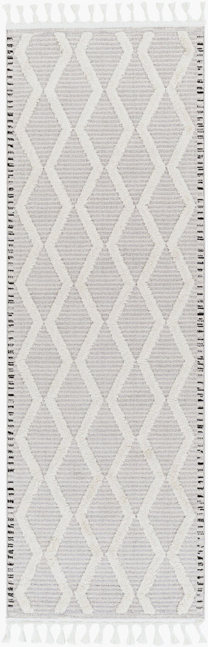 Livabliss Azilal Bohemian Global Runner Rug Plush High Pile Polyester Fringe Hallway Accent AZI2317-2773