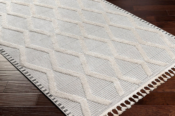 Livabliss Azilal Bohemian Global Runner Rug Plush High Pile Polyester Fringe Hallway Accent AZI2317-2773