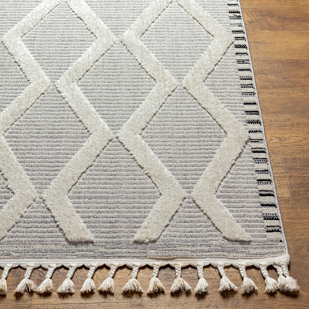 Livabliss Azilal Bohemian Global Runner Rug Plush High Pile Polyester Fringe Hallway Accent AZI2317-2773